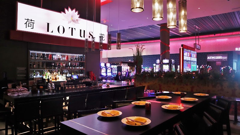 Lotus