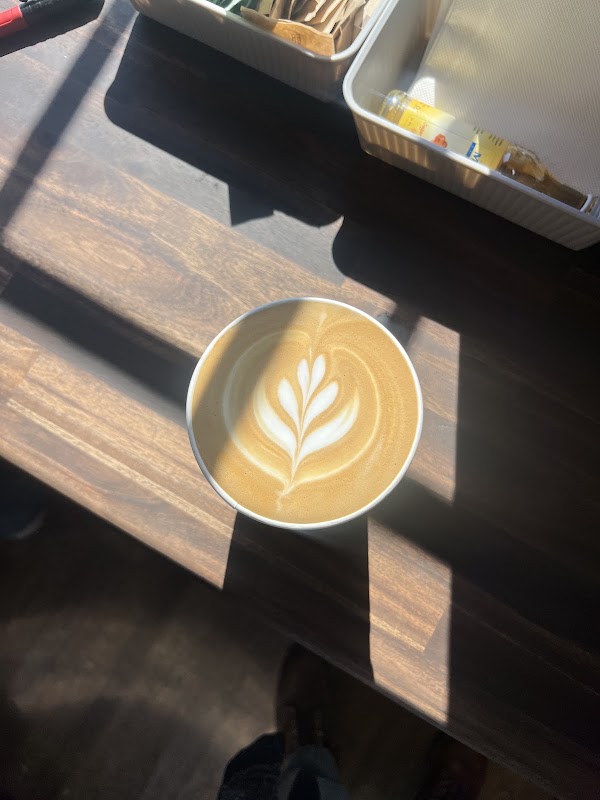 The Usual Coffee Co